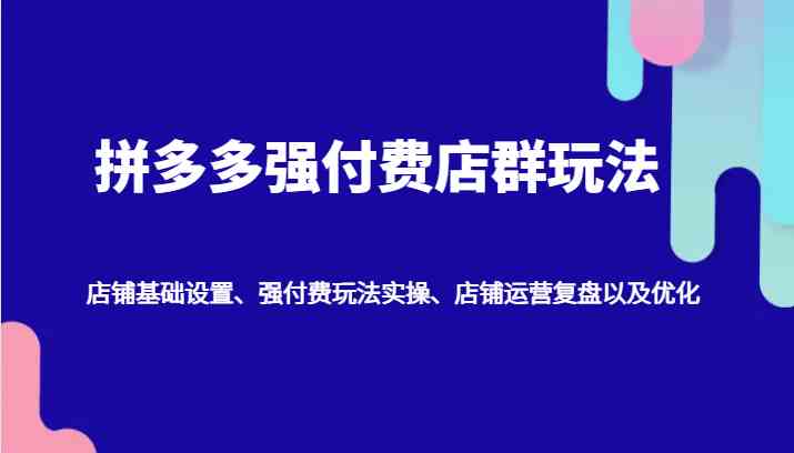 拼多多强付费店群玩法：店铺基础设置、强付费玩法实操、店铺运营复盘以及优化-佳佳云创网
