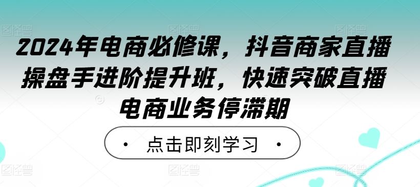 2024年电商必修课，抖音商家直播操盘手进阶提升班，快速突破直播电商业务停滞期-佳佳云创网