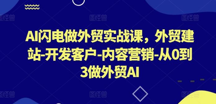 AI闪电做外贸实战课，​外贸建站-开发客户-内容营销-从0到3做外贸AI（更新）-佳佳云创网