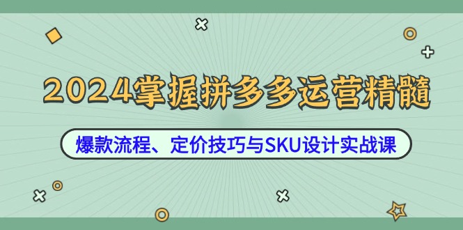 （12703期）2024掌握拼多多运营精髓：爆款流程、定价技巧与SKU设计实战课-佳佳云创网
