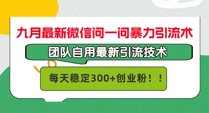 （12735期）九月最新微信问一问暴力引流术，团队自用引流术，每天稳定300+创…-佳佳云创网