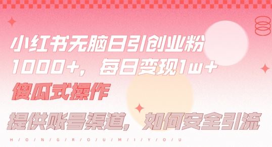 小红书无脑每日引流创业粉500+，小白每天只花半小时，躺赚长尾收益【揭秘】-佳佳云创网