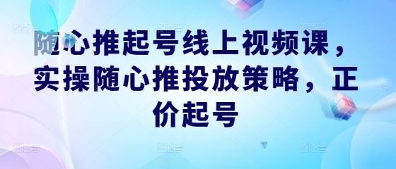 随心推起号线上视频课，实操随心推投放策略，正价起号-佳佳云创网