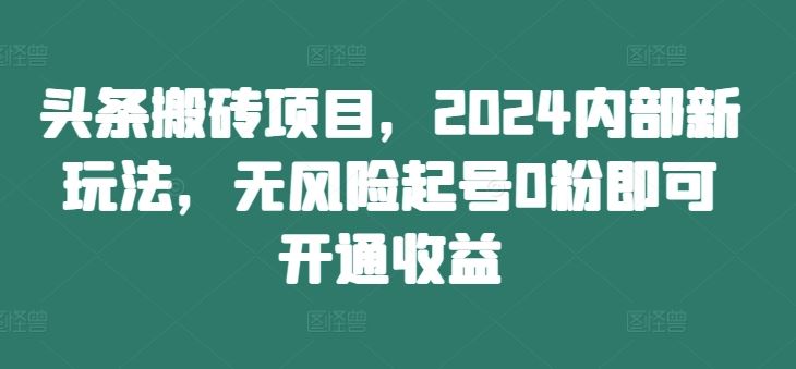 头条搬砖项目，2024内部新玩法，无风险起号0粉即可开通收益-佳佳云创网