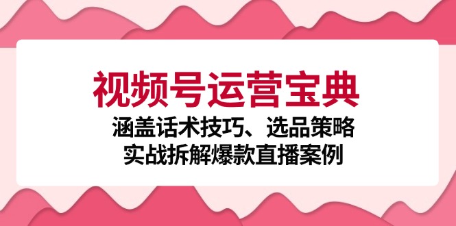 （12808期）视频号运营宝典：涵盖话术技巧、选品策略、实战拆解爆款直播案例-佳佳云创网