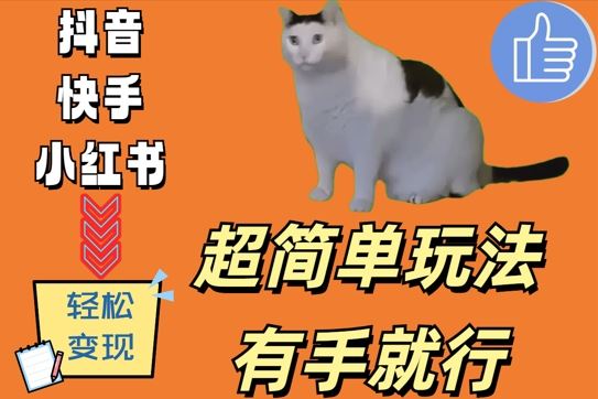 超简单玩法，有手就行，靠猫咪视频日入500+【揭秘】-佳佳云创网