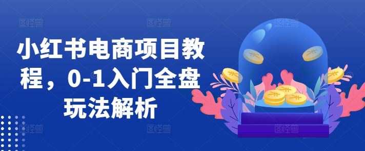 小红书电商项目教程，0-1入门全盘玩法解析-佳佳云创网