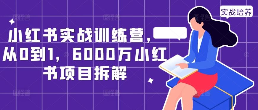 小红书实战训练营，从0到1，6000万小红书项目拆解-佳佳云创网