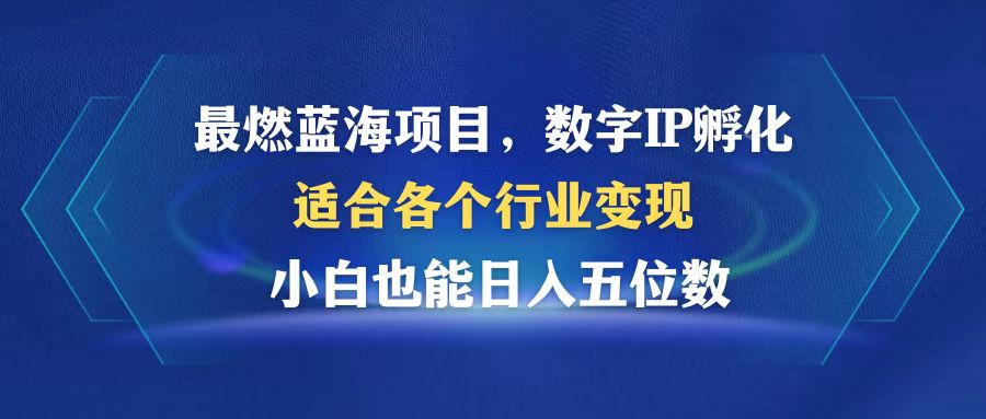 （12941期）最燃蓝海项目  数字IP孵化  适合各个行业变现  小白也能日入5位数-佳佳云创网
