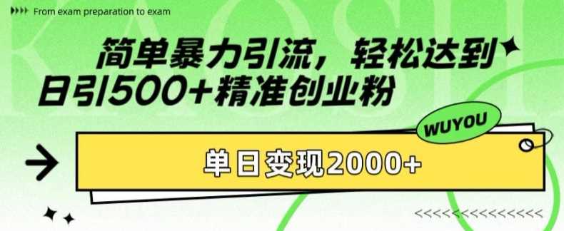 简单暴力引流，轻松达到日引500+精准创业粉，单日变现2k【揭秘】-佳佳云创网