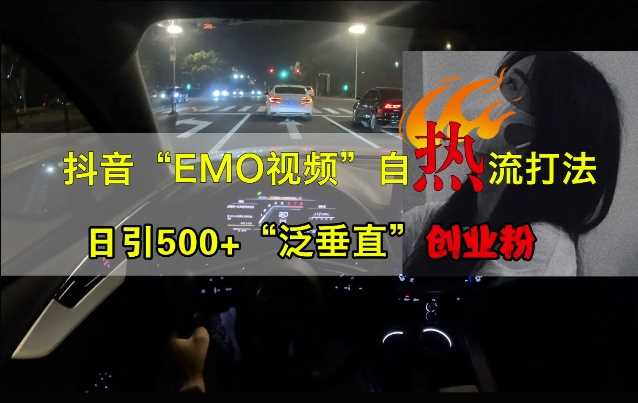 抖音EMO视频自热打法，日引500+“泛垂直”创业粉-佳佳云创网
