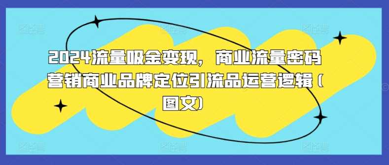 2024流量吸金变现，商业流量密码营销商业品牌定位引流品运营逻辑(图文)-佳佳云创网