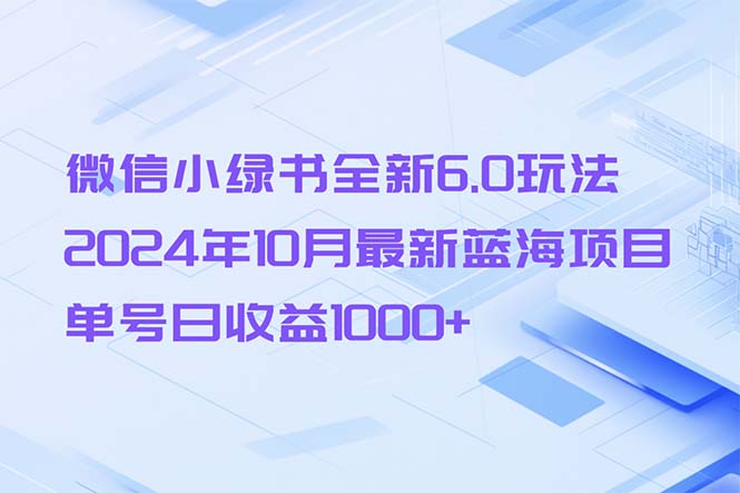（13052期）微信小绿书全新6.0玩法，2024年10月最新蓝海项目，单号日收益1000+-佳佳云创网