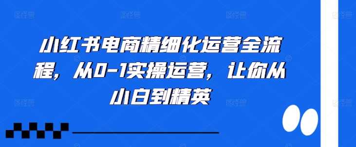 小红书电商精细化运营全流程，从0-1实操运营，让你从小白到精英-佳佳云创网