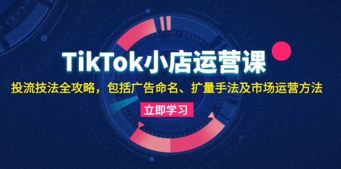 （13063期）TikTok小店运营课：投流技法全攻略，包括广告命名 扩量手法及市场运营方法-佳佳云创网