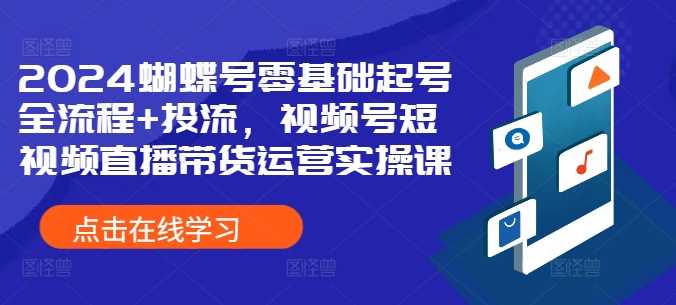 2024蝴蝶号零基础起号全流程+投流，视频号短视频直播带货运营实操课-佳佳云创网