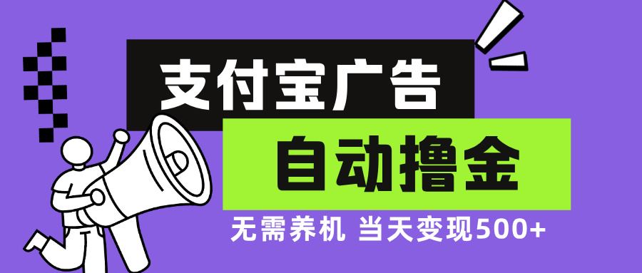（13101期）支付宝广告全自动撸金，无需养机，当天落地500+-佳佳云创网