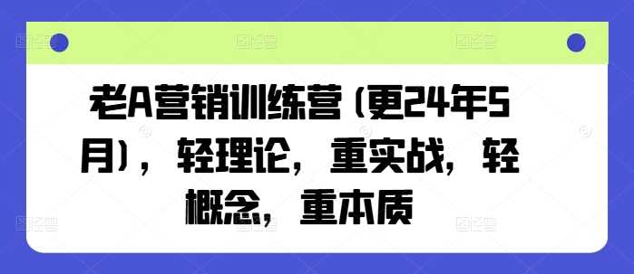 老A营销训练营(更24年10月)，轻理论，重实战，轻概念，重本质-佳佳云创网