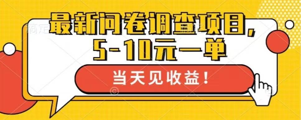 （13167期）最新问卷调查项目，单日零撸100＋-佳佳云创网