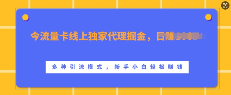 流量卡线上独家代理掘金，日入1k+ ，多种引流模式，新手小白轻松上手【揭秘】-佳佳云创网