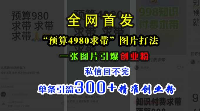 小红书“预算4980带我飞”图片打法，一张图片引爆创业粉，私信回不完，单条引流300+精准创业粉-佳佳云创网