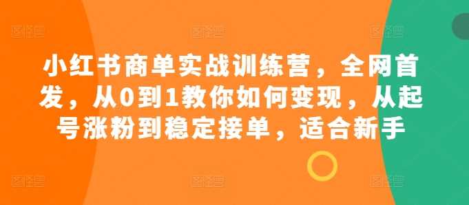 小红书商单实战训练营，全网首发，从0到1教你如何变现，从起号涨粉到稳定接单，适合新手-佳佳云创网