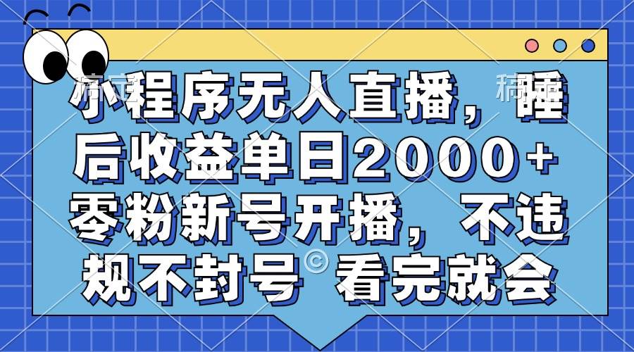 （13251期）小程序无人直播，睡后收益单日2000+ 零粉新号开播，不违规不封号 看完就会-佳佳云创网