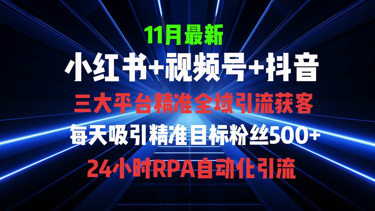（13259期）全域多平台引流私域打法，小红书，视频号，抖音全自动获客，截流自…-佳佳云创网