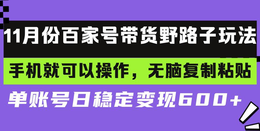 （13281期）百家号带货野路子玩法 手机就可以操作，无脑复制粘贴 单账号日稳定变现…-佳佳云创网