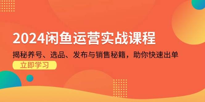 （13290期）2024闲鱼运营实战课程：揭秘养号、选品、发布与销售秘籍，助你快速出单-佳佳云创网