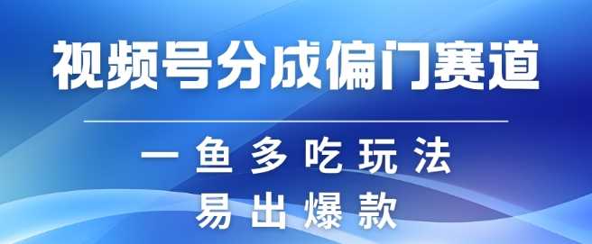 视频号创作者分成计划偏门类目，容易爆流，实拍内容简单易做【揭秘】-佳佳云创网