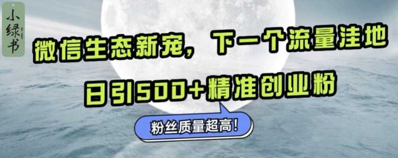 微信生态新宠小绿书：下一个流量洼地，日引500+精准创业粉，粉丝质量超高-佳佳云创网
