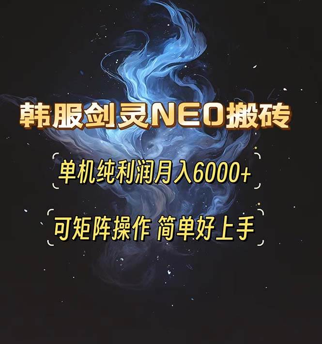（13435期）韩服剑灵NEO搬砖攻略，单机纯利润月入6000+ 可矩阵操作，简单好上手。-佳佳云创网