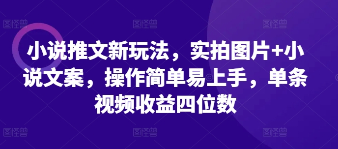 小说推文新玩法，实拍图片+小说文案，操作简单易上手，单条视频收益四位数-佳佳云创网