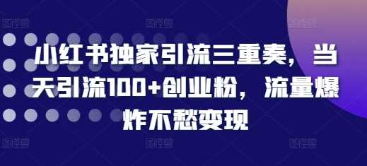 小红书独家引流三重奏，当天引流100+创业粉，流量爆炸不愁变现【揭秘】-佳佳云创网