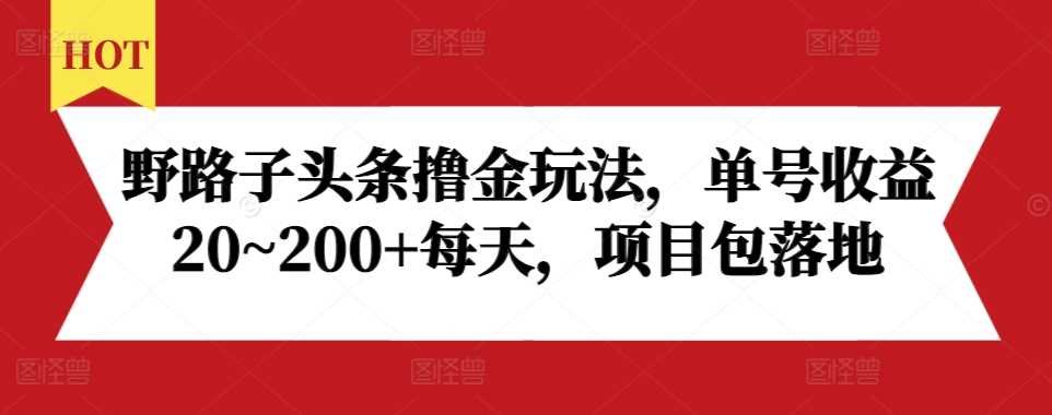 野路子头条撸金玩法，单号收益20~200+每天，项目包落地-佳佳云创网