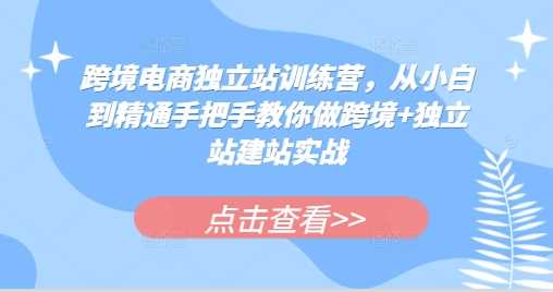 跨境电商独立站训练营，从小白到精通手把手教你做跨境+独立站建站实战-佳佳云创网