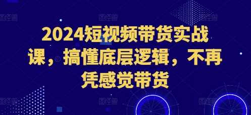2024短视频带货实战课，搞懂底层逻辑，不再凭感觉带货-佳佳云创网