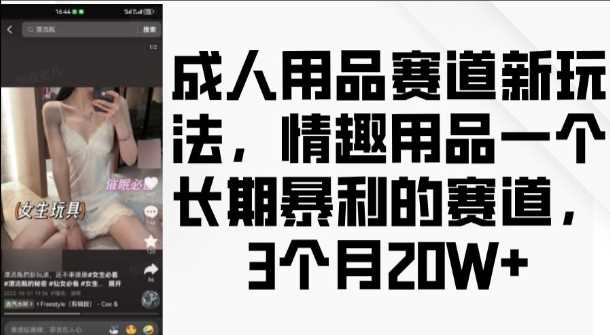 成人用品赛道新玩法，情趣用品一个长期暴利的赛道，3个月收益20个【揭秘】-佳佳云创网