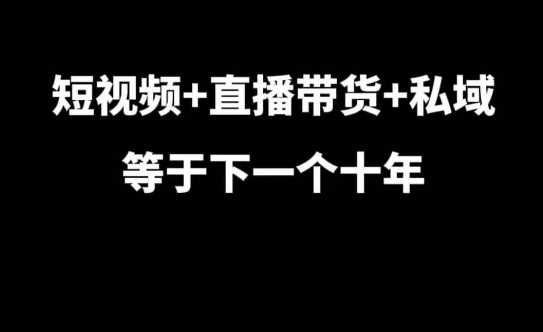 短视频+直播带货+私域等于下一个十年，大佬7年实战经验总结-佳佳云创网