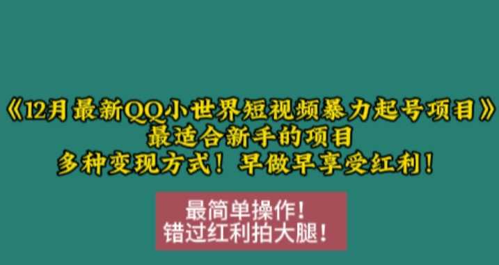 12月最新QQ小世界短视频暴力起号项目，最适合新手的项目，多种变现方式-佳佳云创网