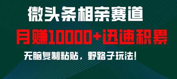微头条相亲赛道，迅速积累，无脑复制粘贴，野路子玩法，月入1w-佳佳云创网