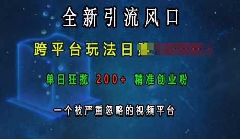 全新引流风口，跨平台玩法日入上k，单日狂揽200+精准创业粉，一个被严重忽略的视频平台-佳佳云创网