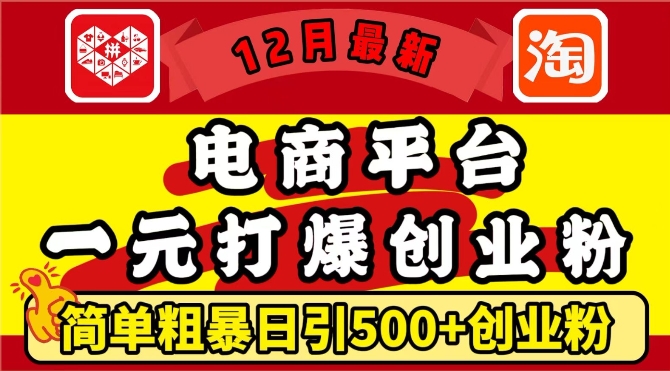 12月最新：电商平台1元打爆创业粉，简单粗暴日引500+精准创业粉，轻松月入过W【揭秘】-佳佳云创网