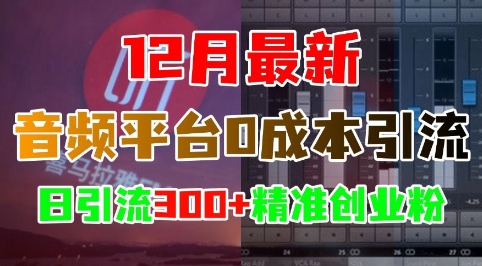 12月最新：音频平台0成本引流，日引流300+精准创业粉-佳佳云创网