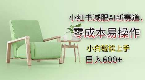 小红书减肥AI新赛道，零成本易操作，日入多张，小白轻松上手【揭秘】-佳佳云创网