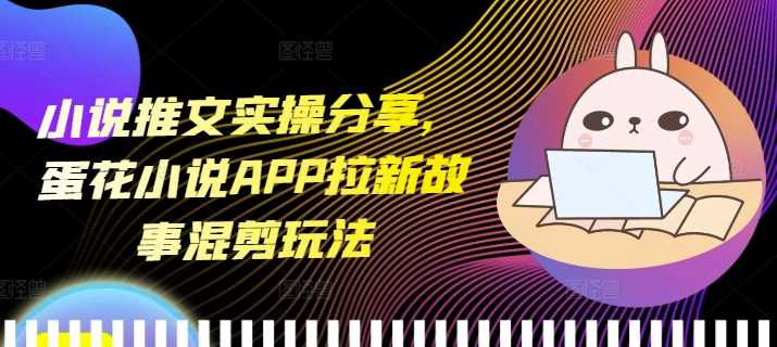小说推文实操分享，蛋花小说APP拉新故事混剪玩法-佳佳云创网
