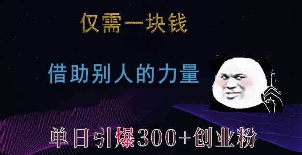 仅需一块钱，借助别人的力量，单日引爆300+创业粉、兼职粉【揭秘】-佳佳云创网