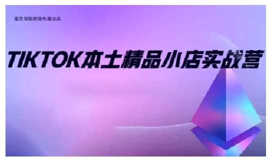 TikTok本土精品小店出海实战营，从入门到高阶，不止0-1!-佳佳云创网