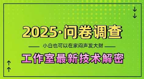 2025问卷调查最新工作室技术解密：一个人在家也可以闷声发大财，小白一天2张，可矩阵放大【揭秘】-佳佳云创网